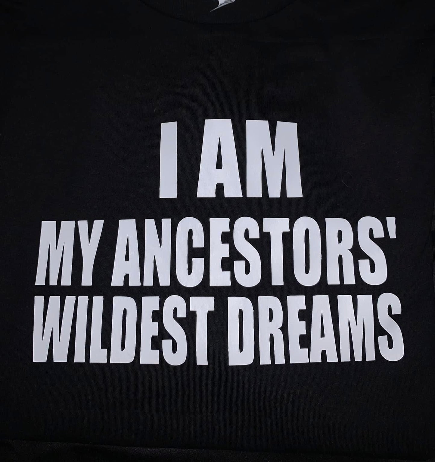 I AM MY ANCESTORS WILDEST DREAMS